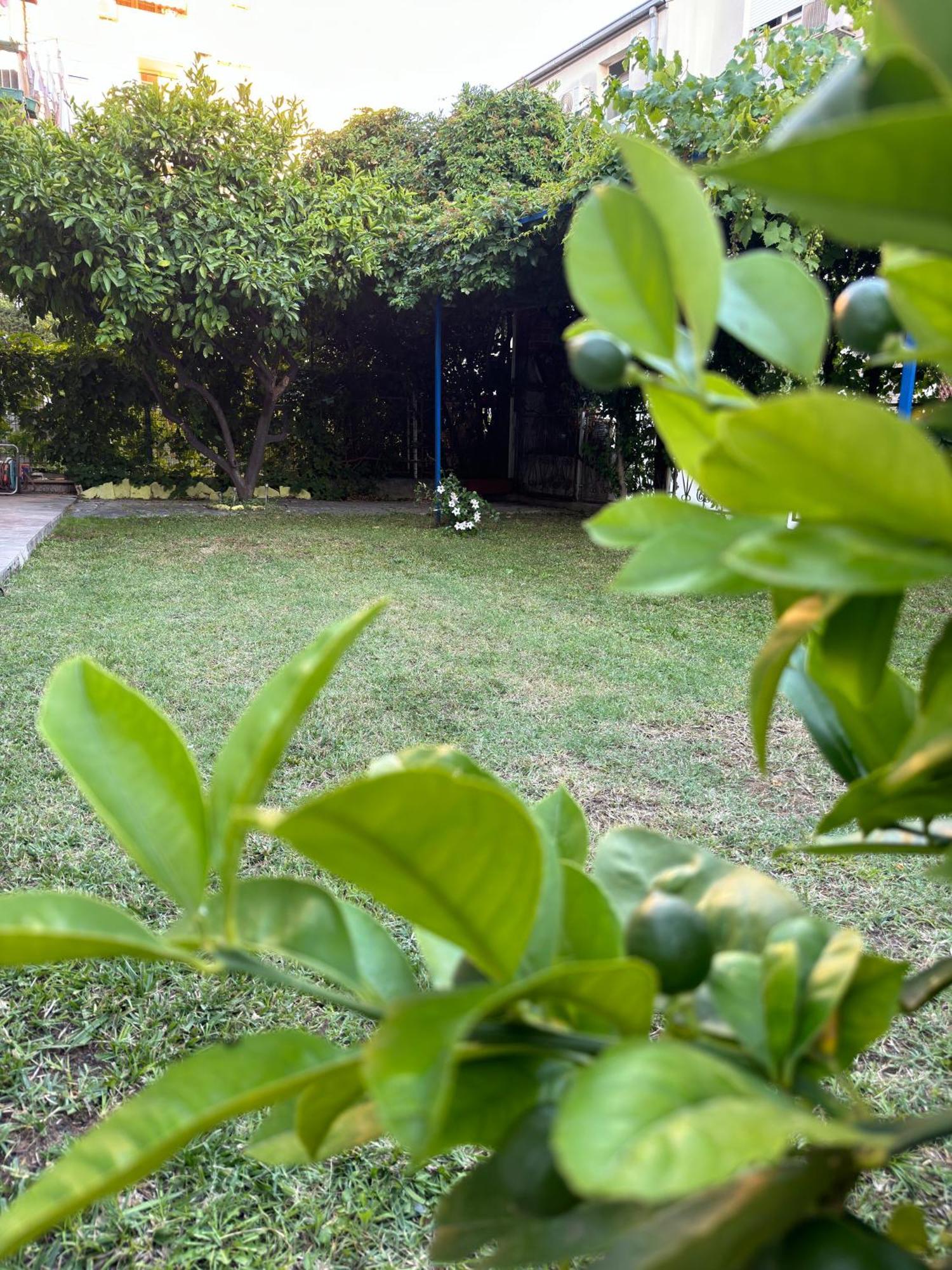شقة Valentinas Garden سبليت المظهر الخارجي الصورة